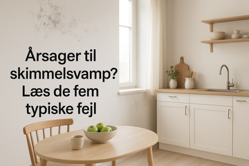 De 5 hyppigste årsager til skimmelsvamp i danske hjem