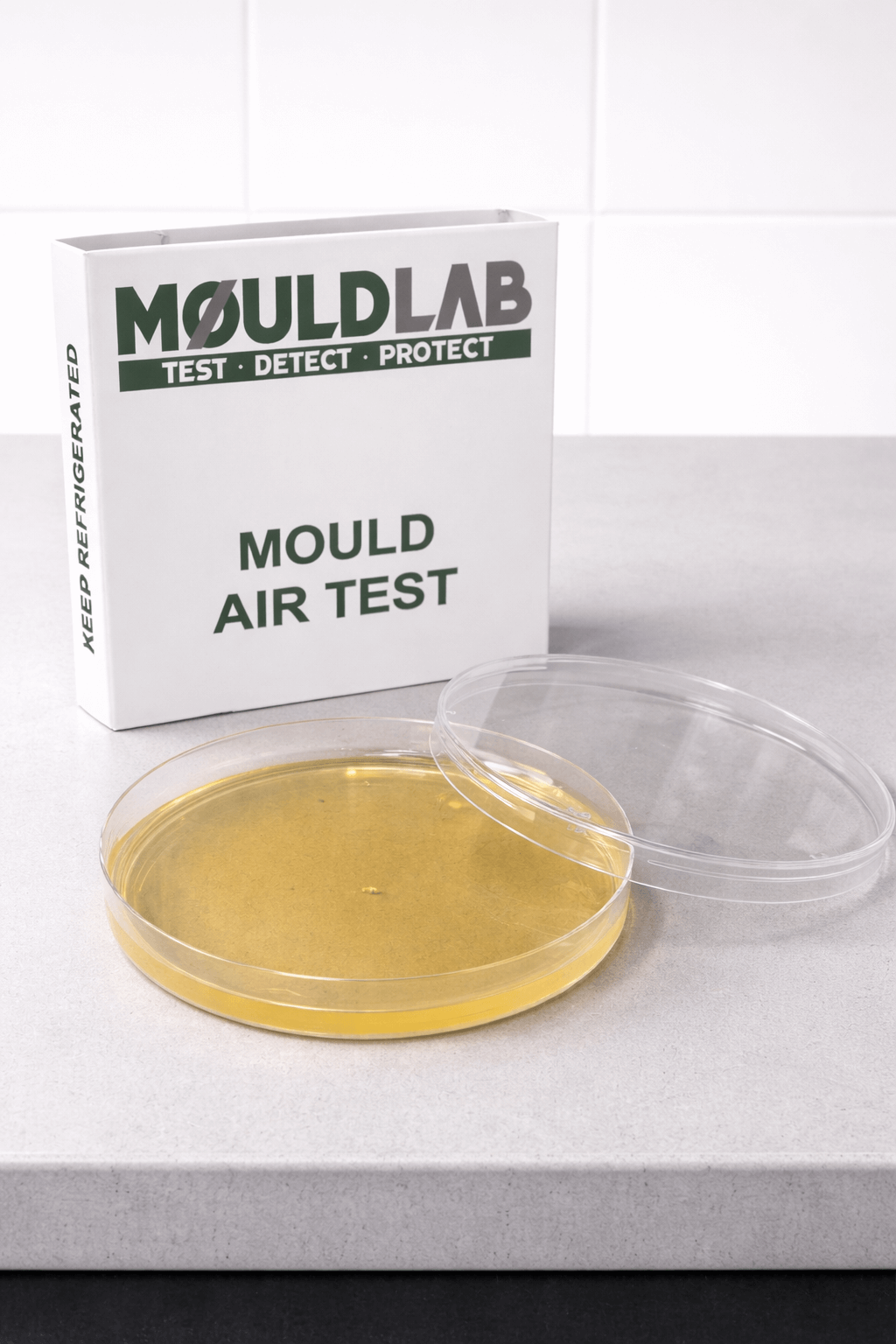 Mold Air Test kit from MouldLab with petri dish and packaging on a kitchen counter.